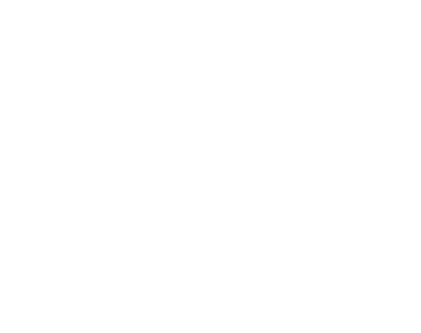 Fair Tax Solutions